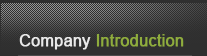 Company Introduction Leftmenu Title
