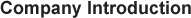 Company Introduction Title
